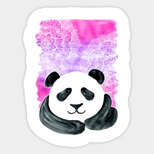 Lazy Panda on Pink & Purple Sticker